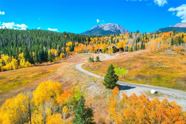 348 Jade Rd, Silverthorne, CO 80498 - view of mountain background with a heavily wooded area