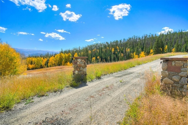348 Jade Rd, Silverthorne, CO 80498 - view of road featuring a view of trees