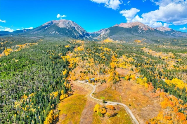348 Jade Rd, Silverthorne, CO 80498 - view of mountain backdrop with a heavily wooded area