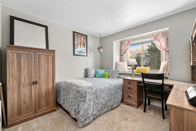 26 Cypress Ct Unit 26, Steamboat Springs, CO 80487 - bedroom featuring light carpet
