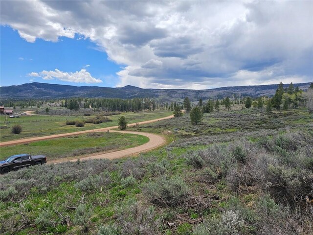 33636 Seneca Trl, Oak Creek, CO 80467 - photo 6