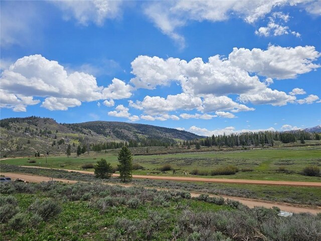 33636 Seneca Trl, Oak Creek, CO 80467 - photo 8
