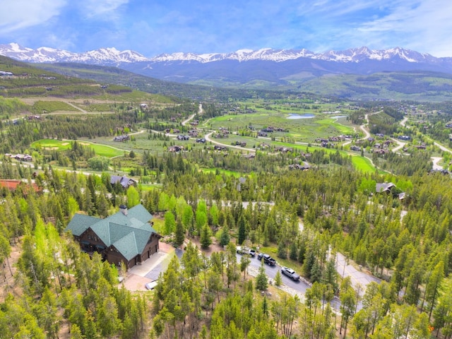 1066 Estates Dr, Breckenridge, CO 80424 - photo 6