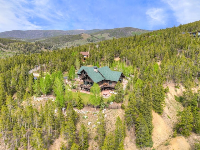 1066 Estates Dr, Breckenridge, CO 80424 - photo 43