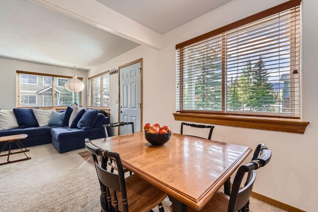 14 Crystal Cv Unit C14, Dillon, CO 80435 - dining area featuring carpet