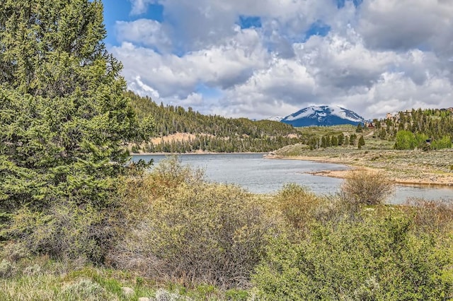 14 Crystal Cv Unit C14, Dillon, CO 80435 - water view with a forest and mountains