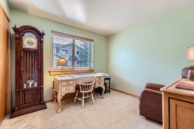 14 Crystal Cv Unit C14, Dillon, CO 80435 - office space with light colored carpet and baseboards