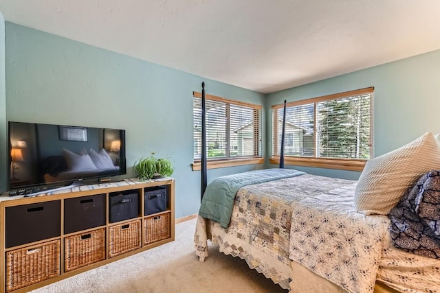 14 Crystal Cv Unit C14, Dillon, CO 80435 - carpeted bedroom featuring baseboards