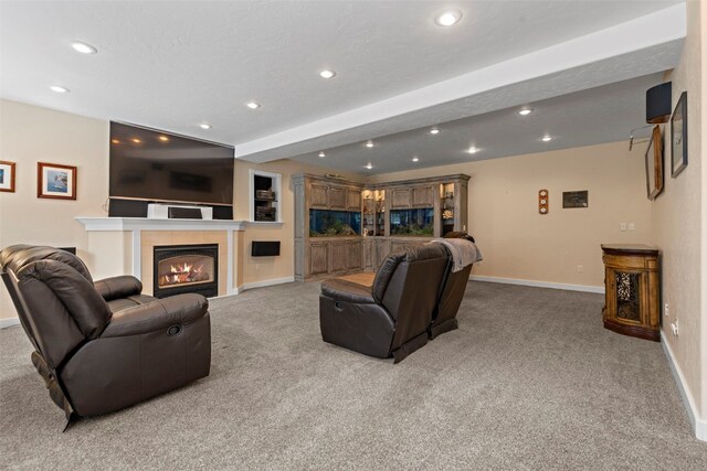 1816 Gold Dr W, Leadville, CO 80461 - photo 33