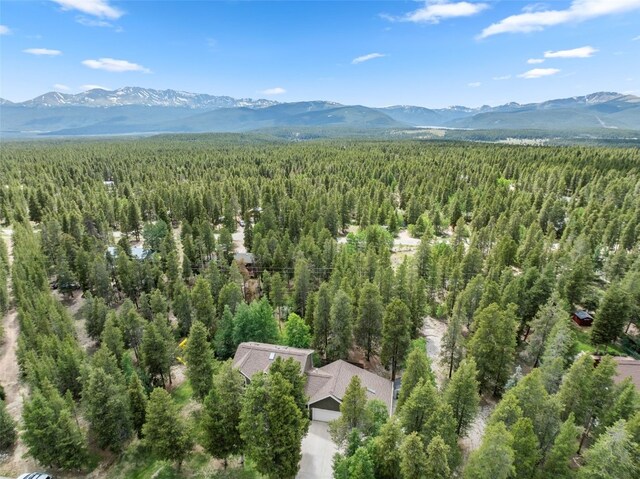 1816 Gold Dr W, Leadville, CO 80461 - photo 44