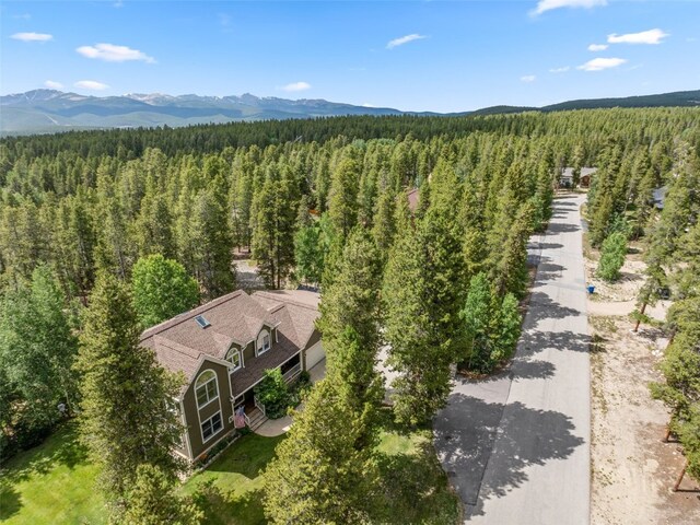 1816 Gold Dr W, Leadville, CO 80461 - photo 43