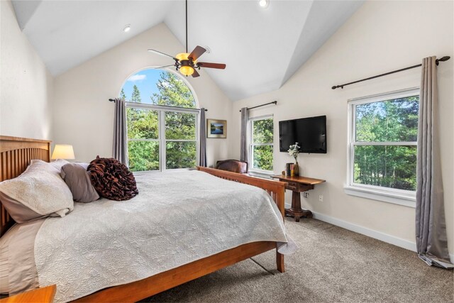 1816 Gold Dr W, Leadville, CO 80461 - photo 23