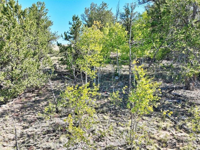 900 Remington Rd, Como, CO 80432 - photo 10