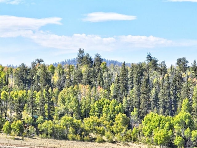 900 Remington Rd, Como, CO 80432 - photo 1