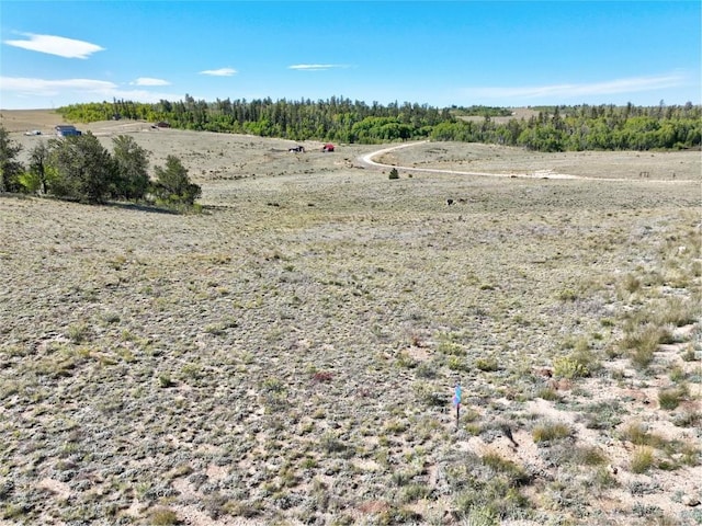 900 Remington Rd, Como, CO 80432 - photo 14