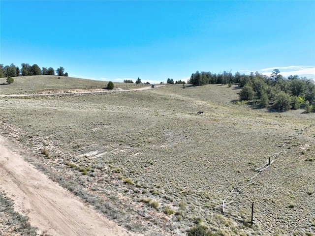 900 Remington Rd, Como, CO 80432 - photo 4