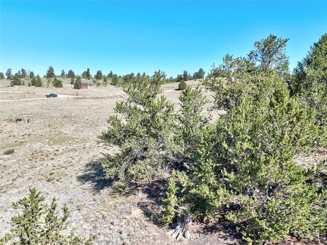 900 Remington Rd, Como, CO 80432 - photo 9