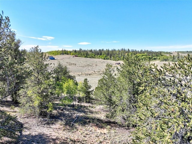 900 Remington Rd, Como, CO 80432 - photo 6