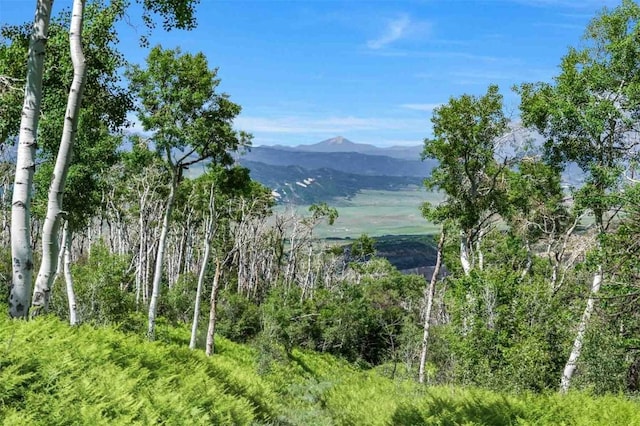 26760 Rimrock Trl, Oak Creek, CO 80467