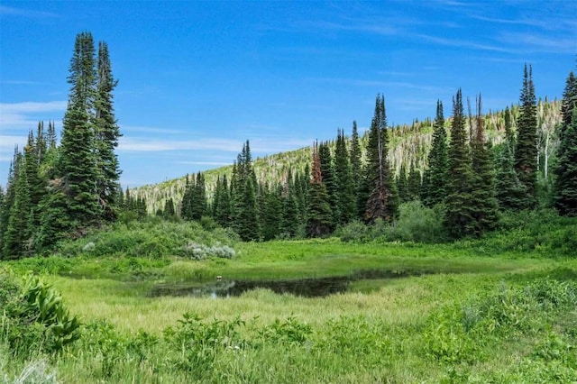 26760 Rimrock Trl, Oak Creek, CO 80467