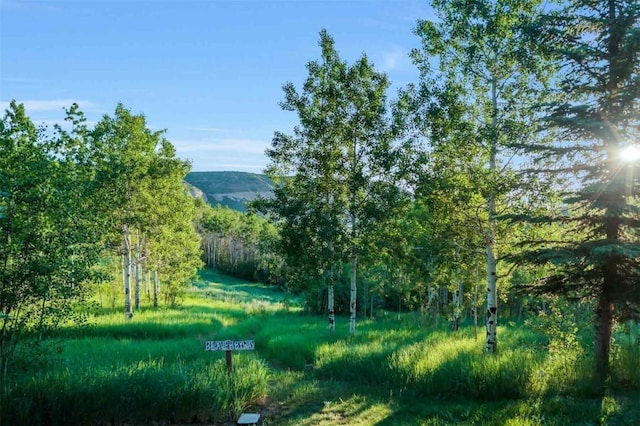 26760 Rimrock Trl, Oak Creek, CO 80467