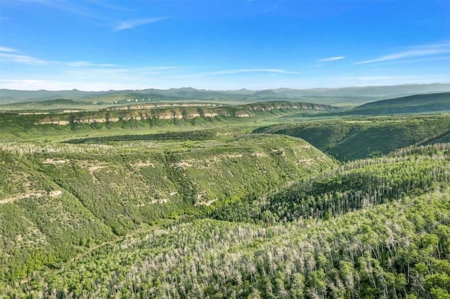 26760 Rimrock Trl, Oak Creek, CO 80467