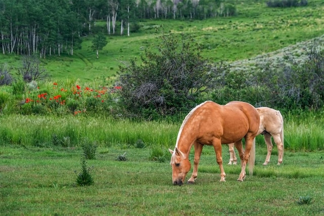 26760 Rimrock Trl, Oak Creek, CO 80467