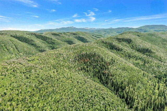 26760 Rimrock Trl, Oak Creek, CO 80467