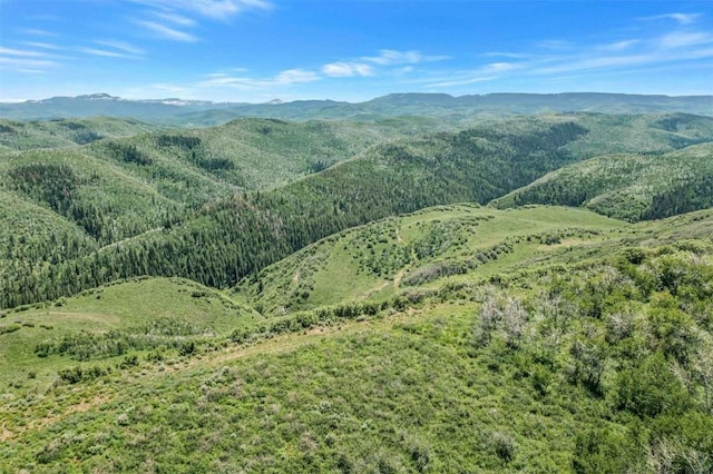 26760 Rimrock Trl, Oak Creek, CO 80467