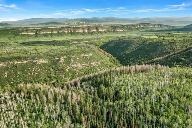 26760 Rimrock Trl, Oak Creek, CO 80467