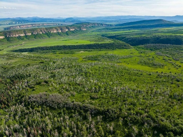 26760 Rimrock Trl, Oak Creek, CO 80467