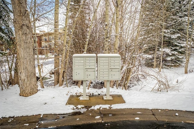 view of home's community featuring mail area