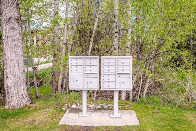 1485 Mustang Run Unit A, Steamboat Springs, CO 80487 - surrounding community with mail area