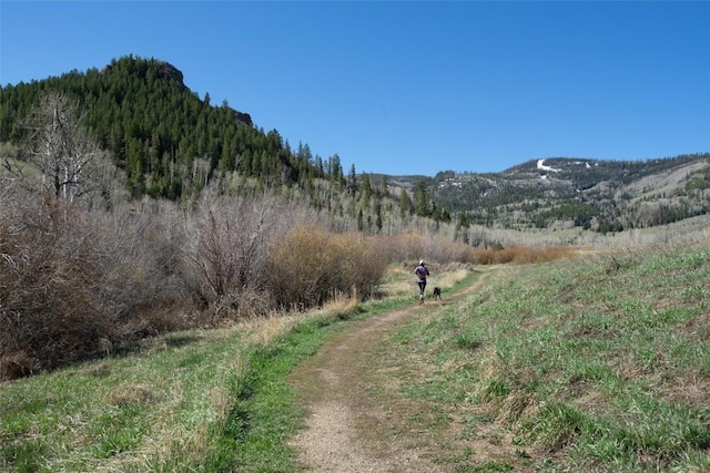 30510 Ormega Way, Oak Creek, CO 80467 - view of mountain background