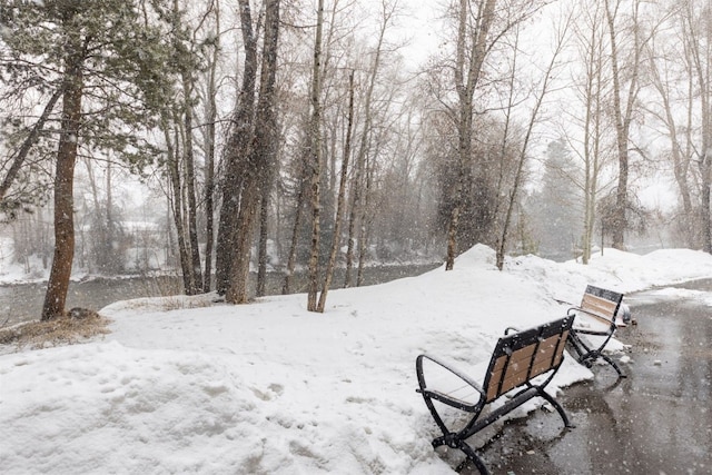 1080 Blue River Pkwy Unit 203, Silverthorne, CO 80498 - view of yard layered in snow