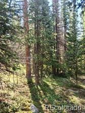 473 Bum Dr, Fairplay, CO 80440