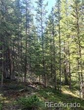 473 Bum Dr, Fairplay, CO 80440