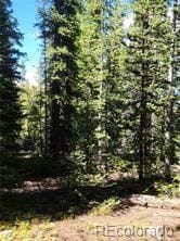 473 Bum Dr, Fairplay, CO 80440