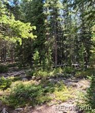 473 Bum Dr, Fairplay, CO 80440