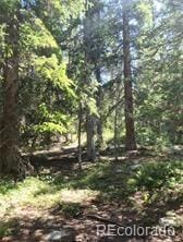 473 Bum Dr, Fairplay, CO 80440