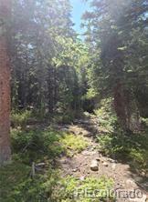 473 Bum Dr, Fairplay, CO 80440