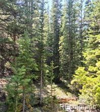 473 Bum Dr, Fairplay, CO 80440
