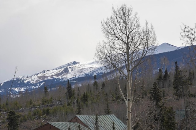 6950 Ryan Gulch Rd Unit 6950, Silverthorne, CO 80498 - view of mountain backdrop with a forest