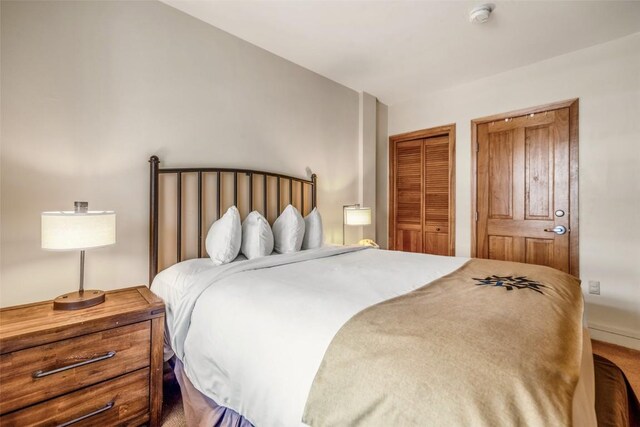 140 Ida Belle Dr Unit 8178, Keystone, CO 80435 - bedroom featuring a closet