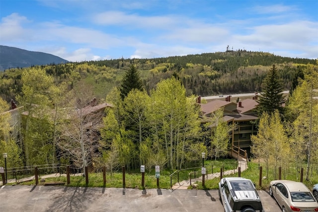 2435 Ryan Gulch Ct Unit 2435, Silverthorne, CO 80498 - photo 22
