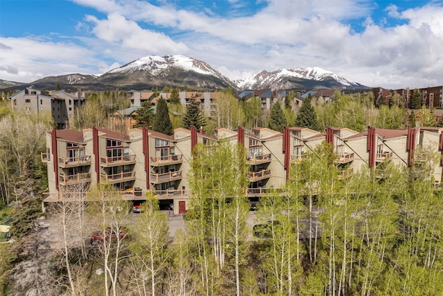 2435 Ryan Gulch Ct Unit 2435, Silverthorne, CO 80498 - photo 25