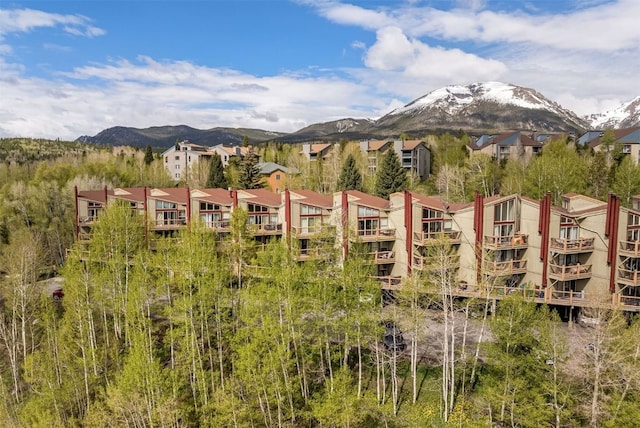 2435 Ryan Gulch Ct Unit 2435, Silverthorne, CO 80498 - photo 26