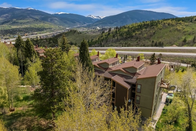 2435 Ryan Gulch Ct Unit 2435, Silverthorne, CO 80498 - photo 21