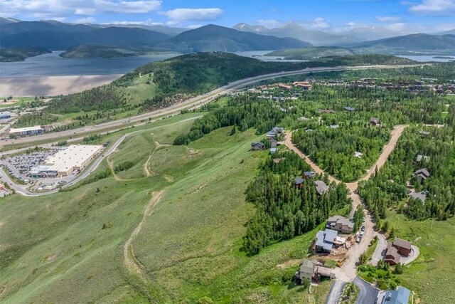 512 Lake View Dr, Silverthorne, CO 80498 - photo 30