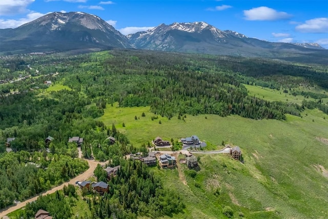512 Lake View Dr, Silverthorne, CO 80498 - photo 31
